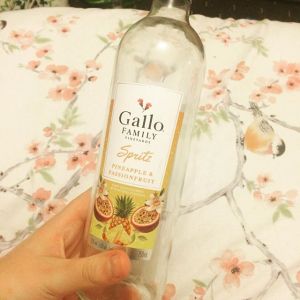 13706848_1050634364989624_2108971356_n