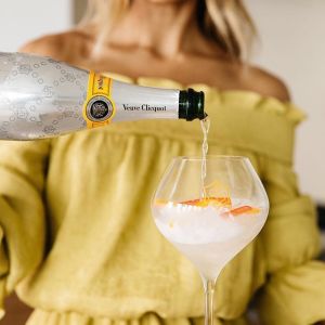 13743608_598144883699094_137248367_n_002