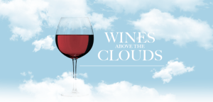 torres wine fb 28716