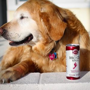 14052155_842599475877655_1044558937_n