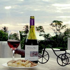 cono sure bike fb 3816