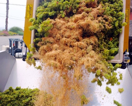 iron horse rice hulls tw  24816