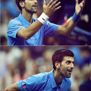 14135001_703094416512862_823094052_n