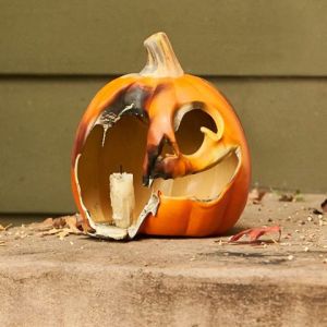 gallo-candle-fb-241016