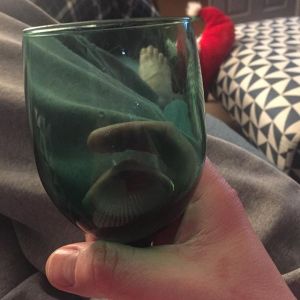 14487208_180212485775558_8810785353708339200_n_002