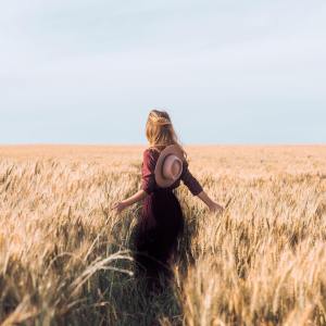 14540554_1446645835348905_9019860161199603712_n