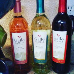 14592182_948948255249619_7683918946080129024_n