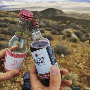 15403442_1847502738797572_8307377360840163328_n