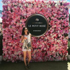 16110599_1432500163468077_5287322186980261888_n